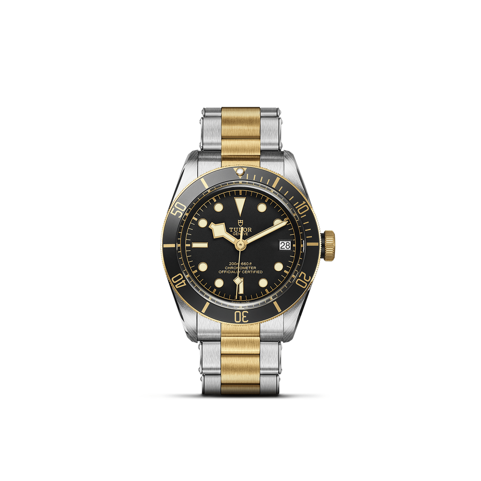 TUDOR / Black Bay