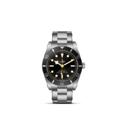 Tudor / Black Bay 54